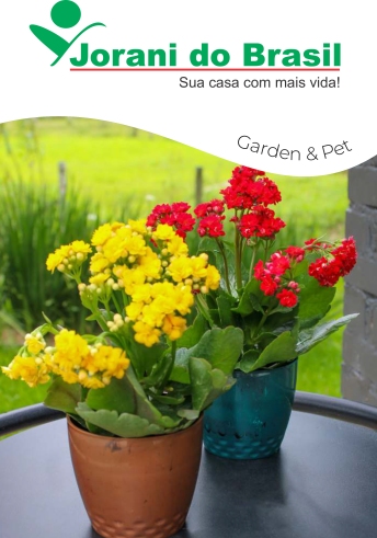 Cat&aacute;logo Jorani do Brasil - 2026