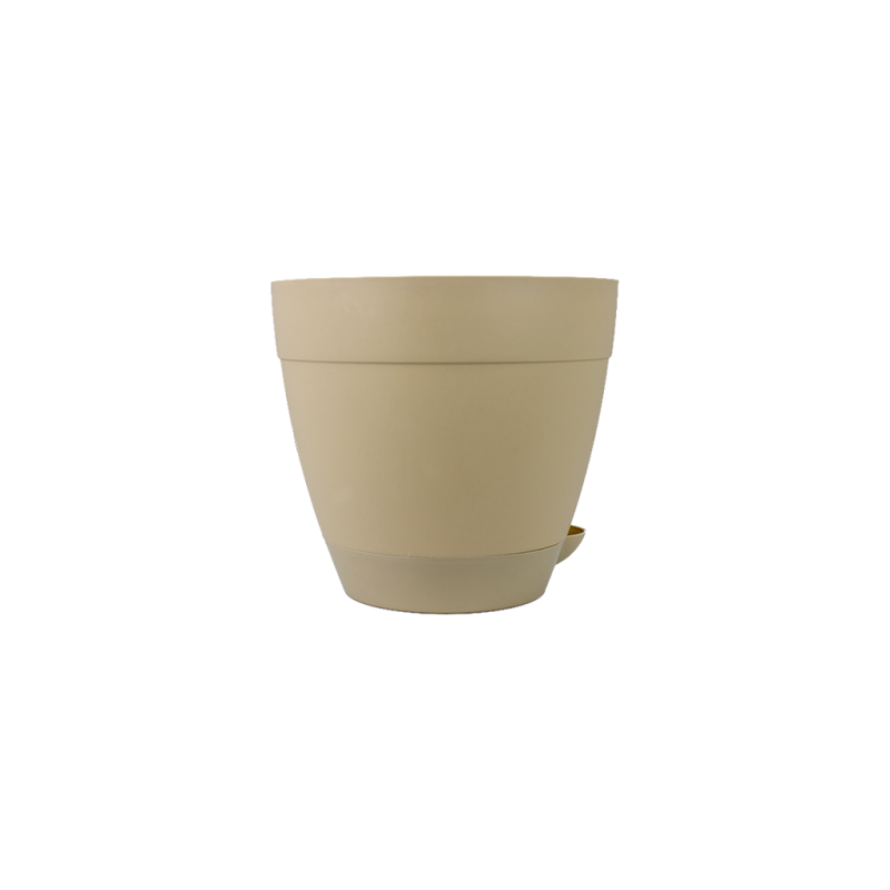 Vaso Anti-Dengue n&ordm;2