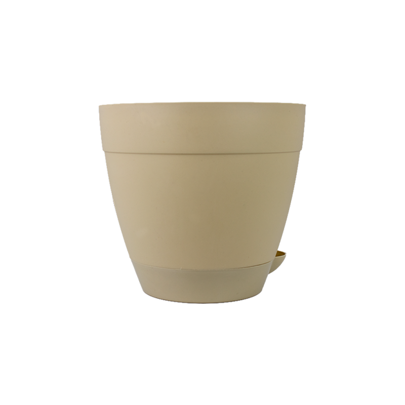 Vaso Anti-Dengue n&ordm;4