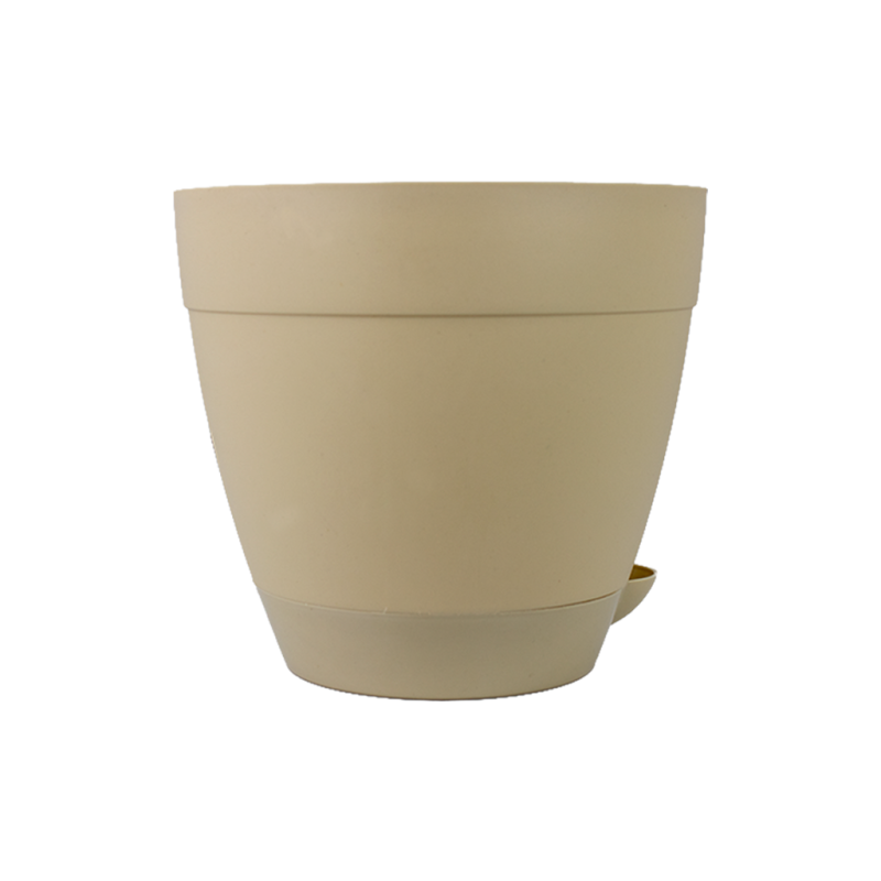 Vaso Anti-Dengue n&ordm;5