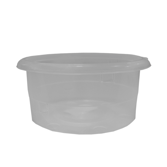 Orchid Vase Nº22 - Transparent - 3 liters