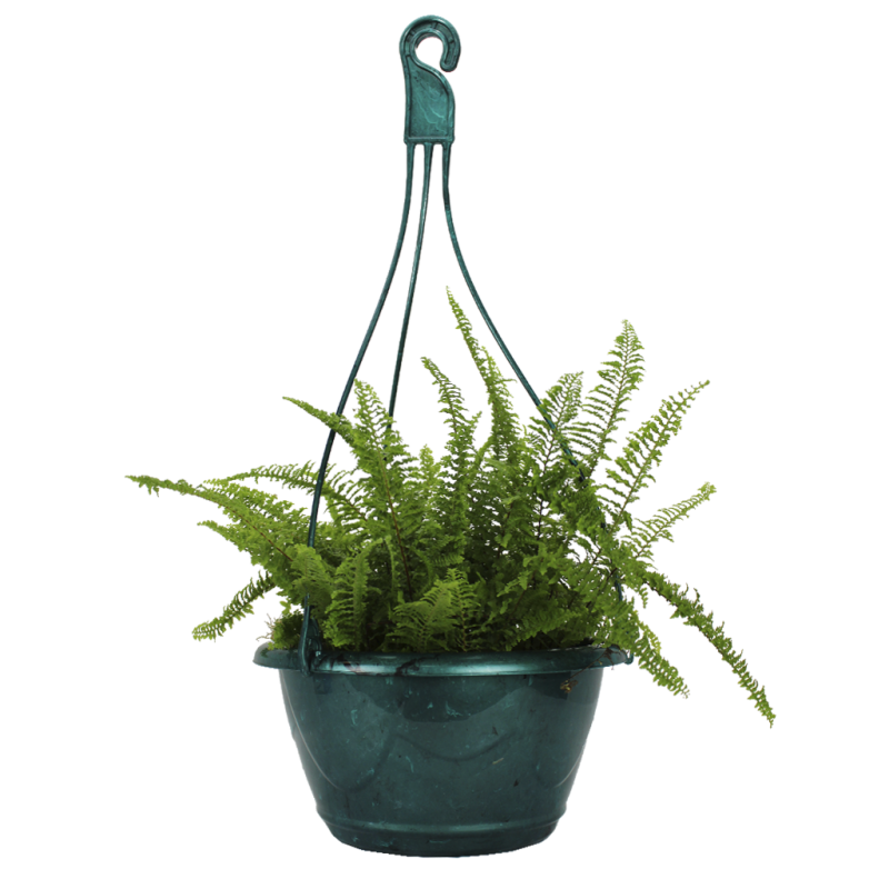 Kit Ecol&oacute;gico Decor N&ordm;2 com Haste - Verde Guatemala - 4,6 litros