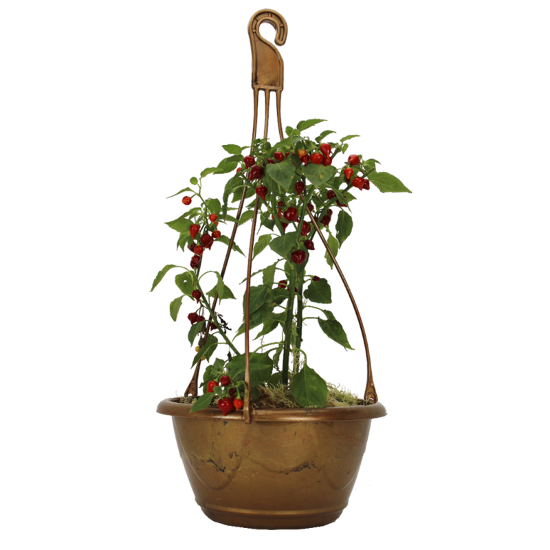 Kit Ecol&oacute;gico Decor N&ordm;2 com Haste - Dourado - 4,6 litros