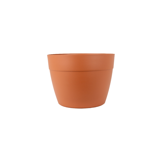 Vaso Primavera n&ordm;2