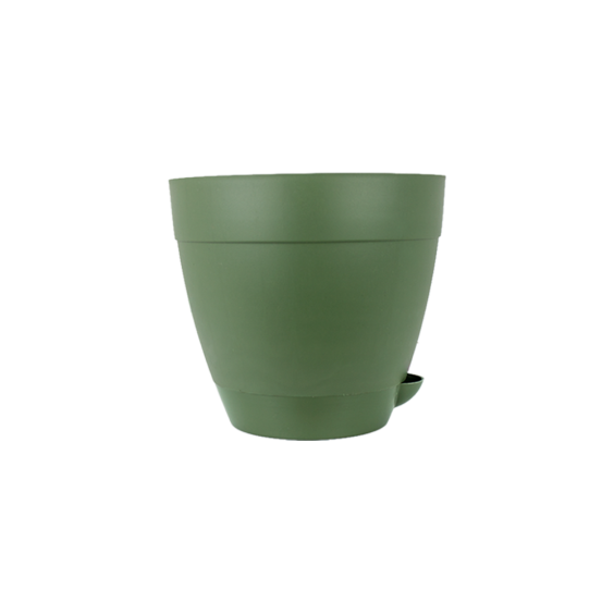 Vaso Anti-Dengue n&ordm;3