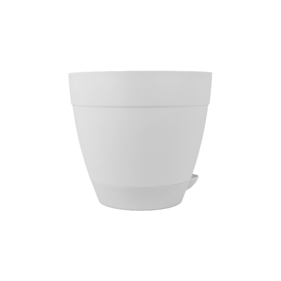 Vaso Anti-Dengue n&ordm;4